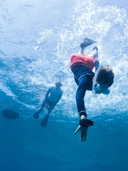Junior Marine Biology in the Maldives