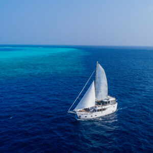 Bespoke Charters