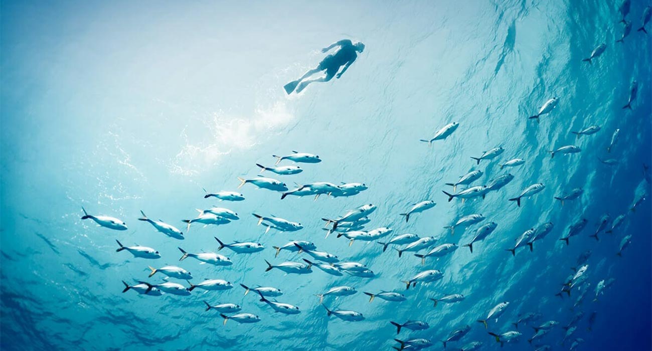 Diving