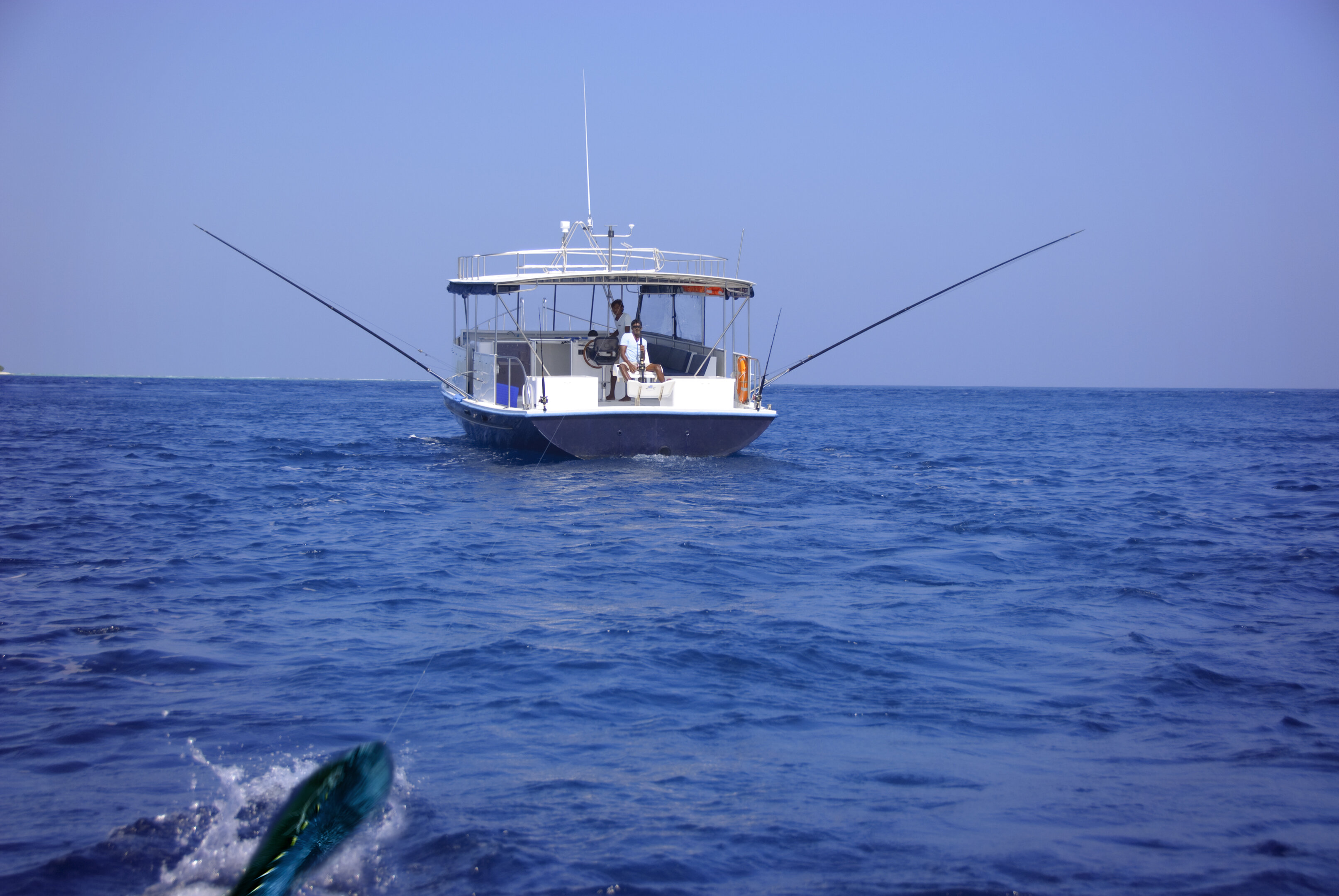 Fishing Expeditions