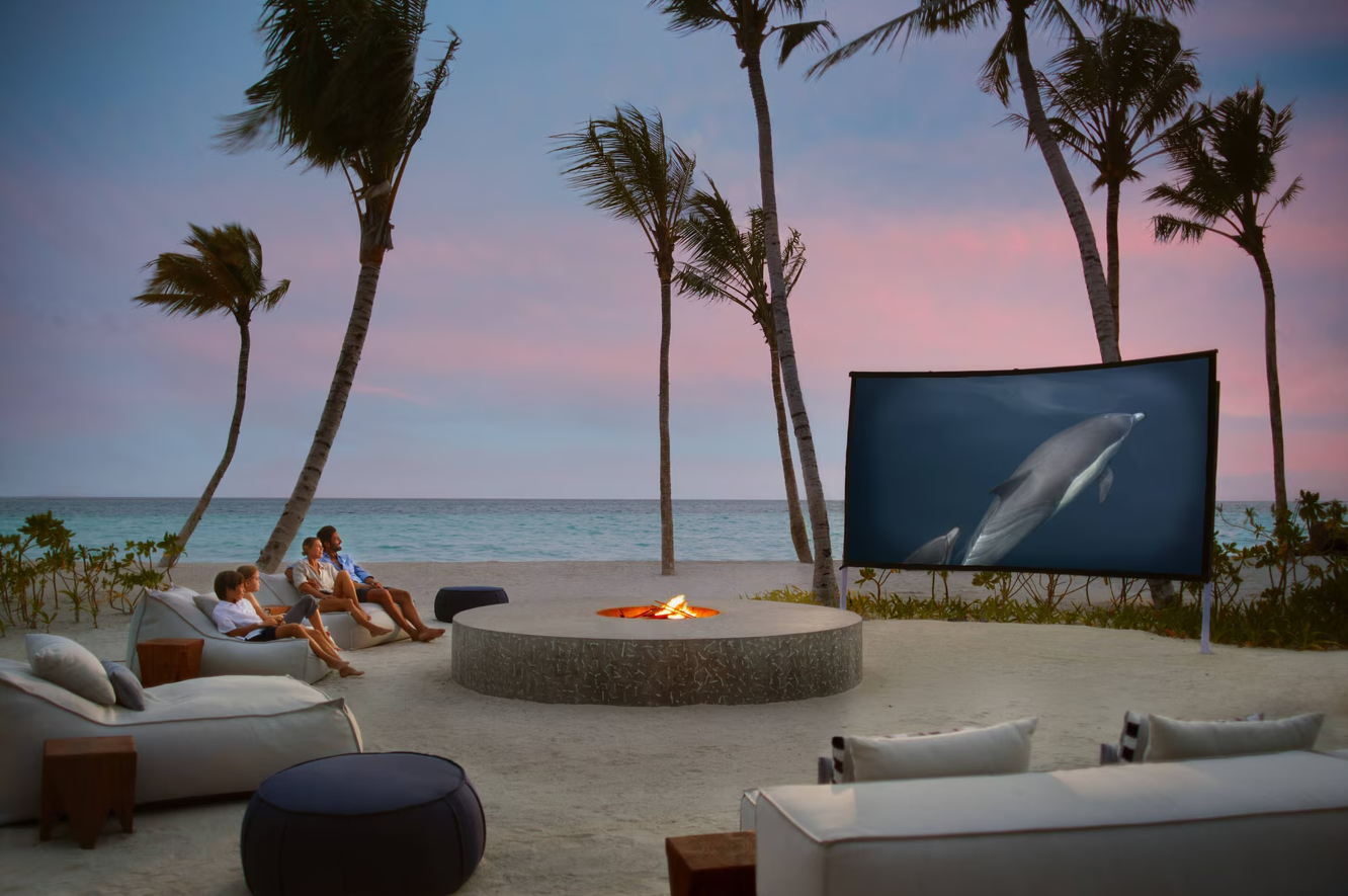Cinema Under the Stars