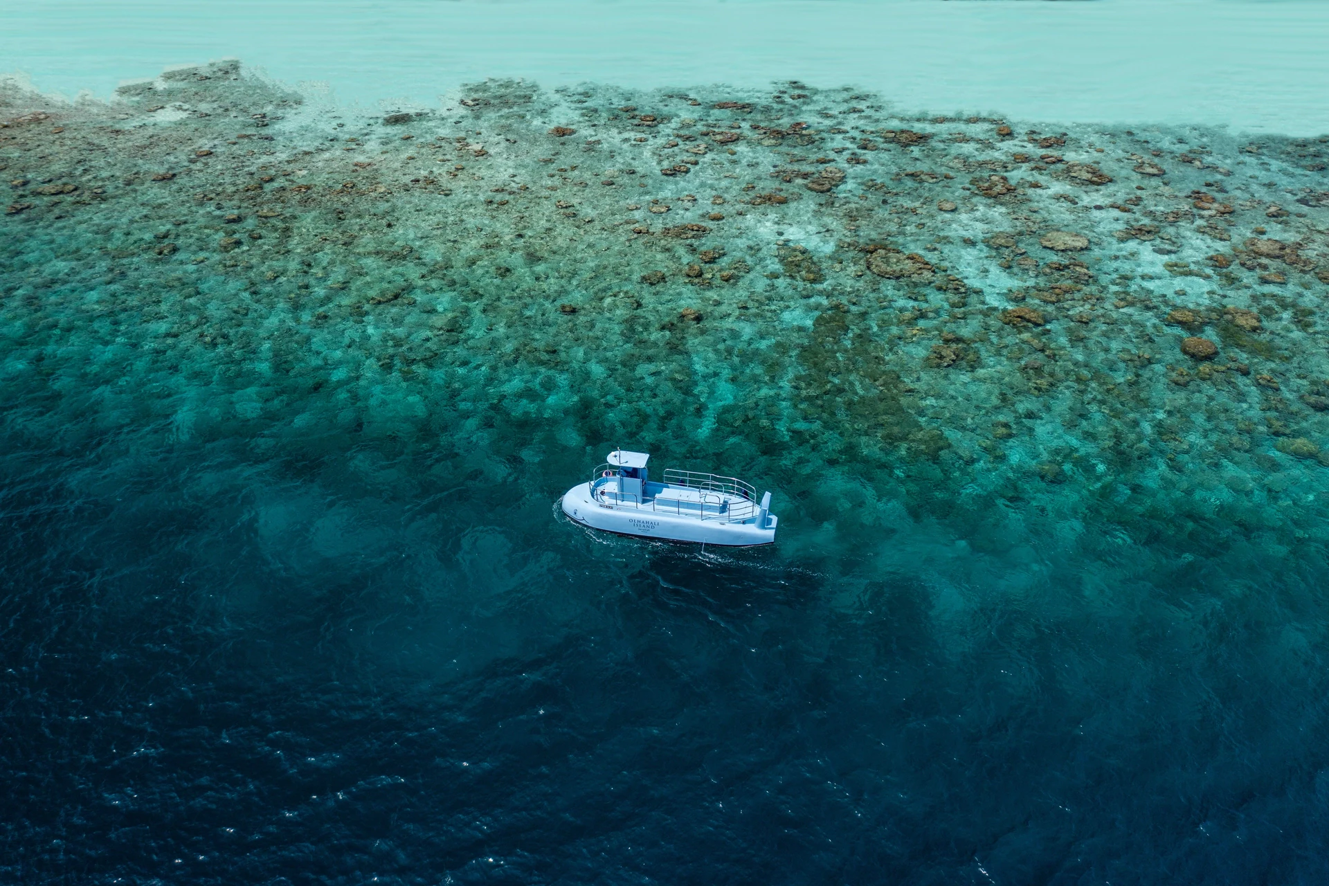 Semi-Submarine Adventure