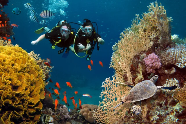 Diving