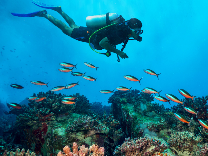 Scuba Diving
