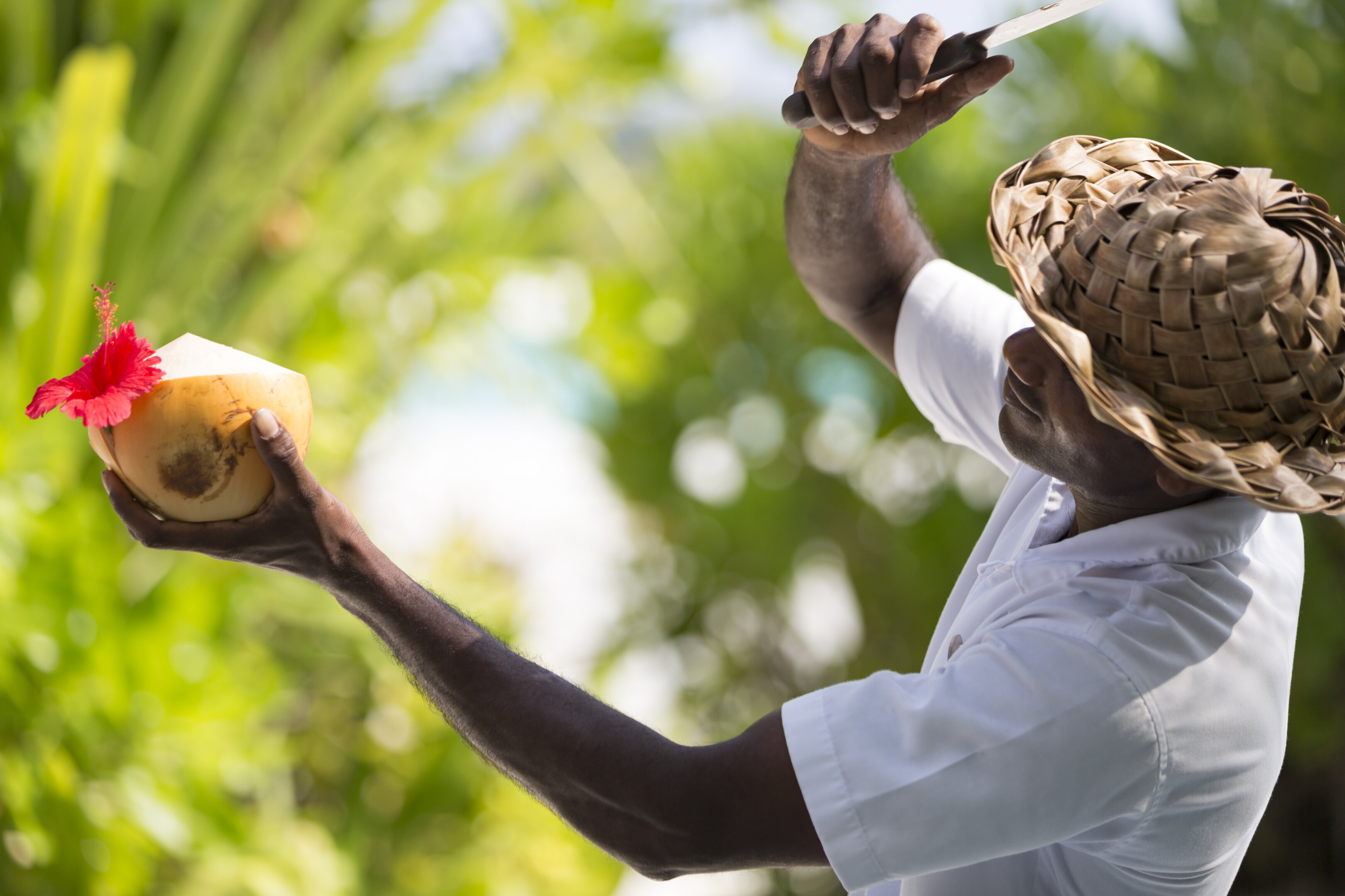 Coconut Guru