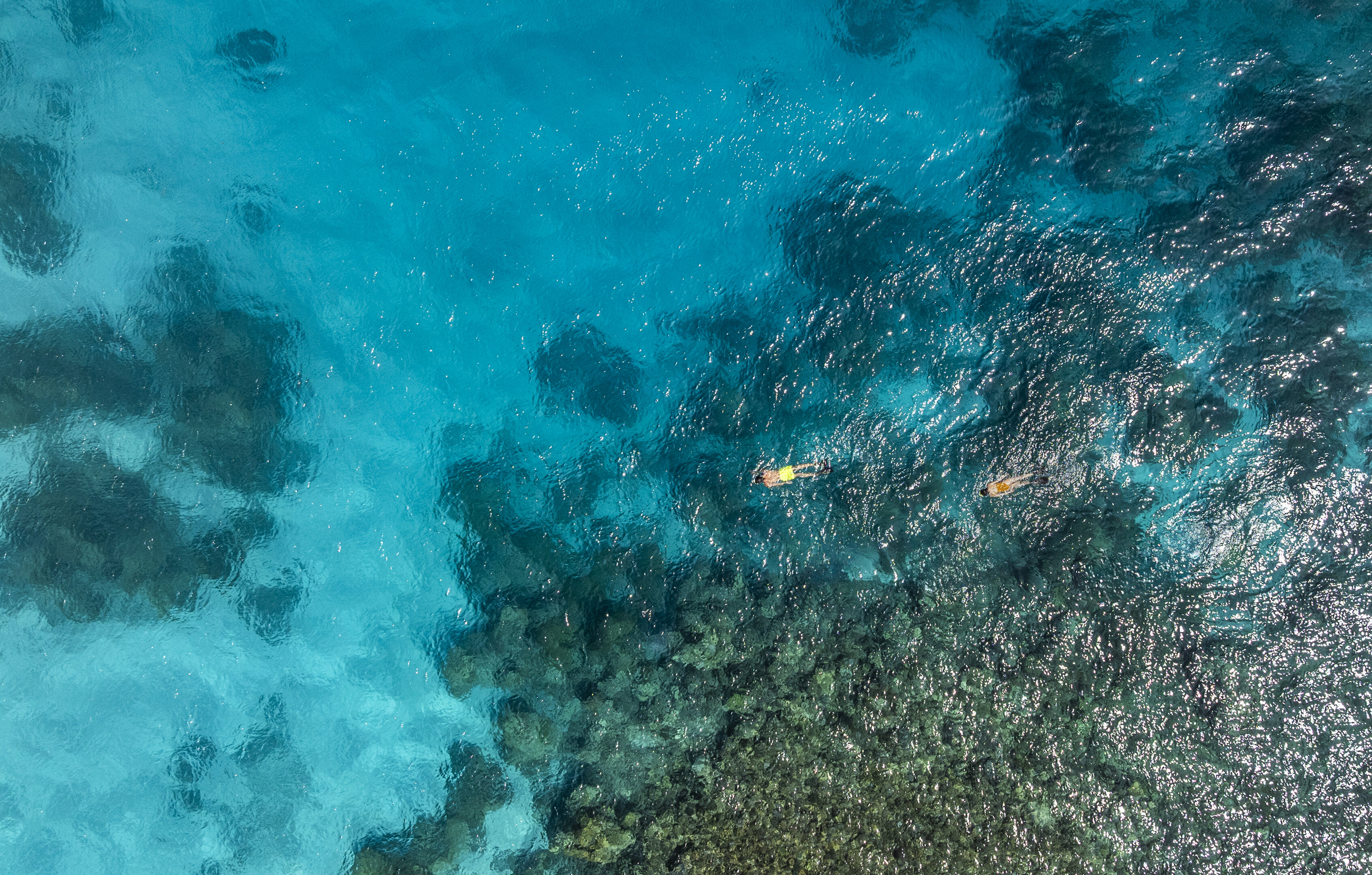 Marine Discovery for Mini Mariners