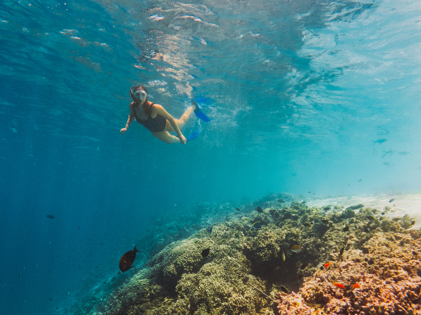 Reef Snorkelling
