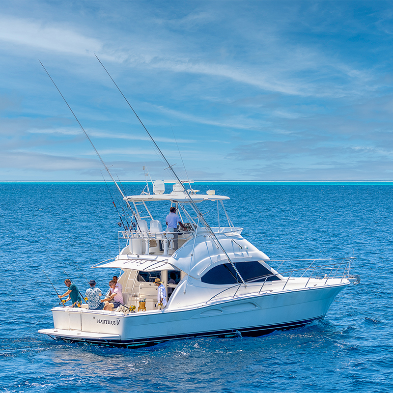 Big-Game Fishing