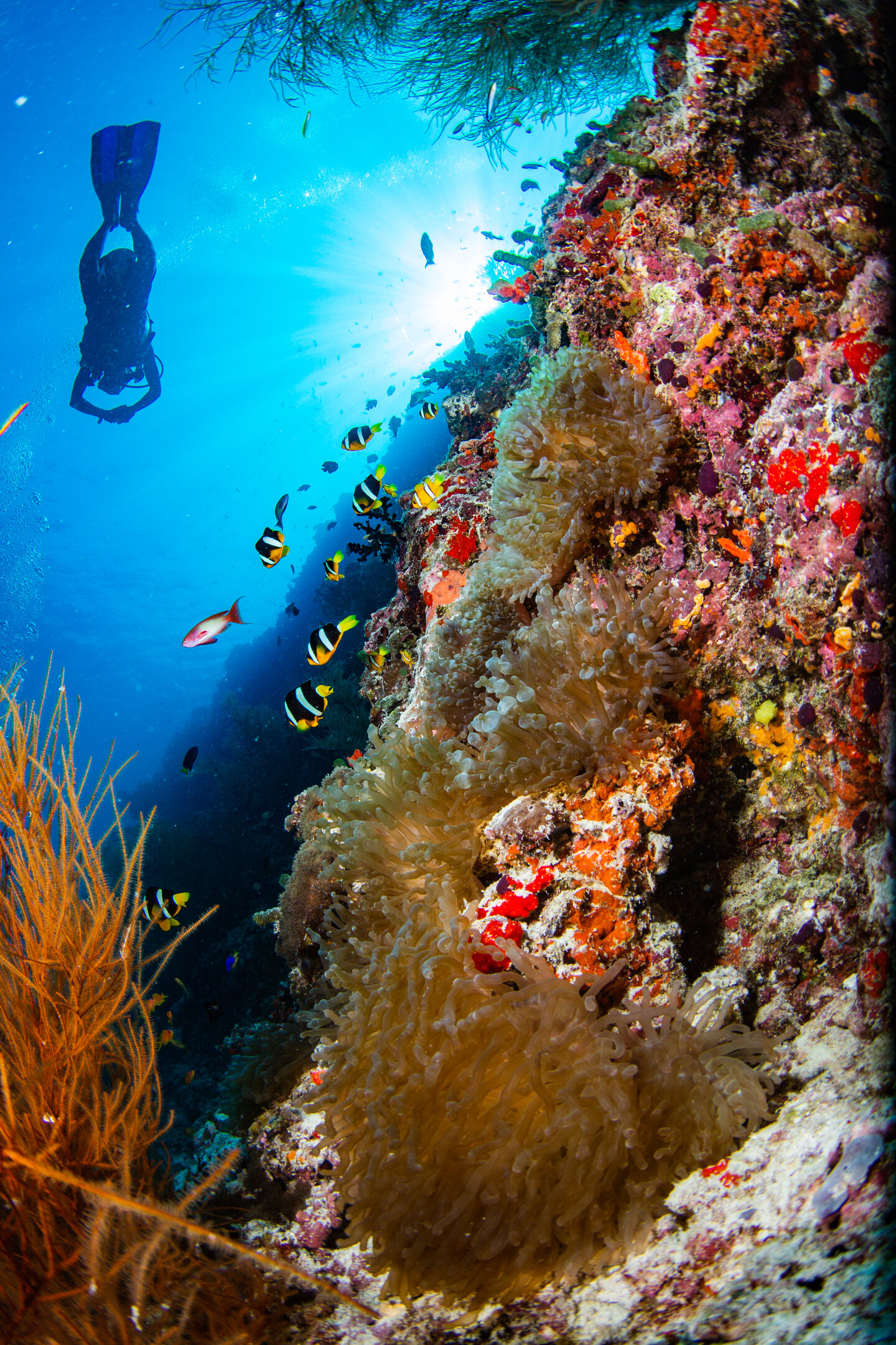 Dive Centre