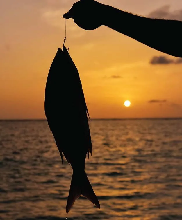 RAW FISHING