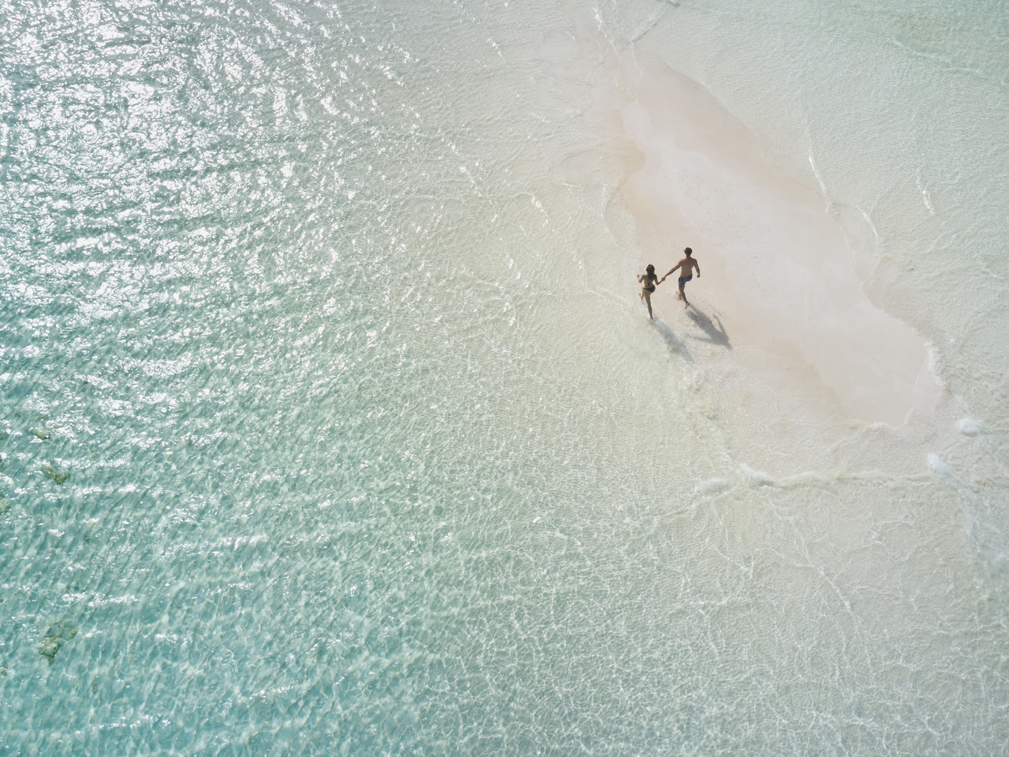Sandbank Picnic