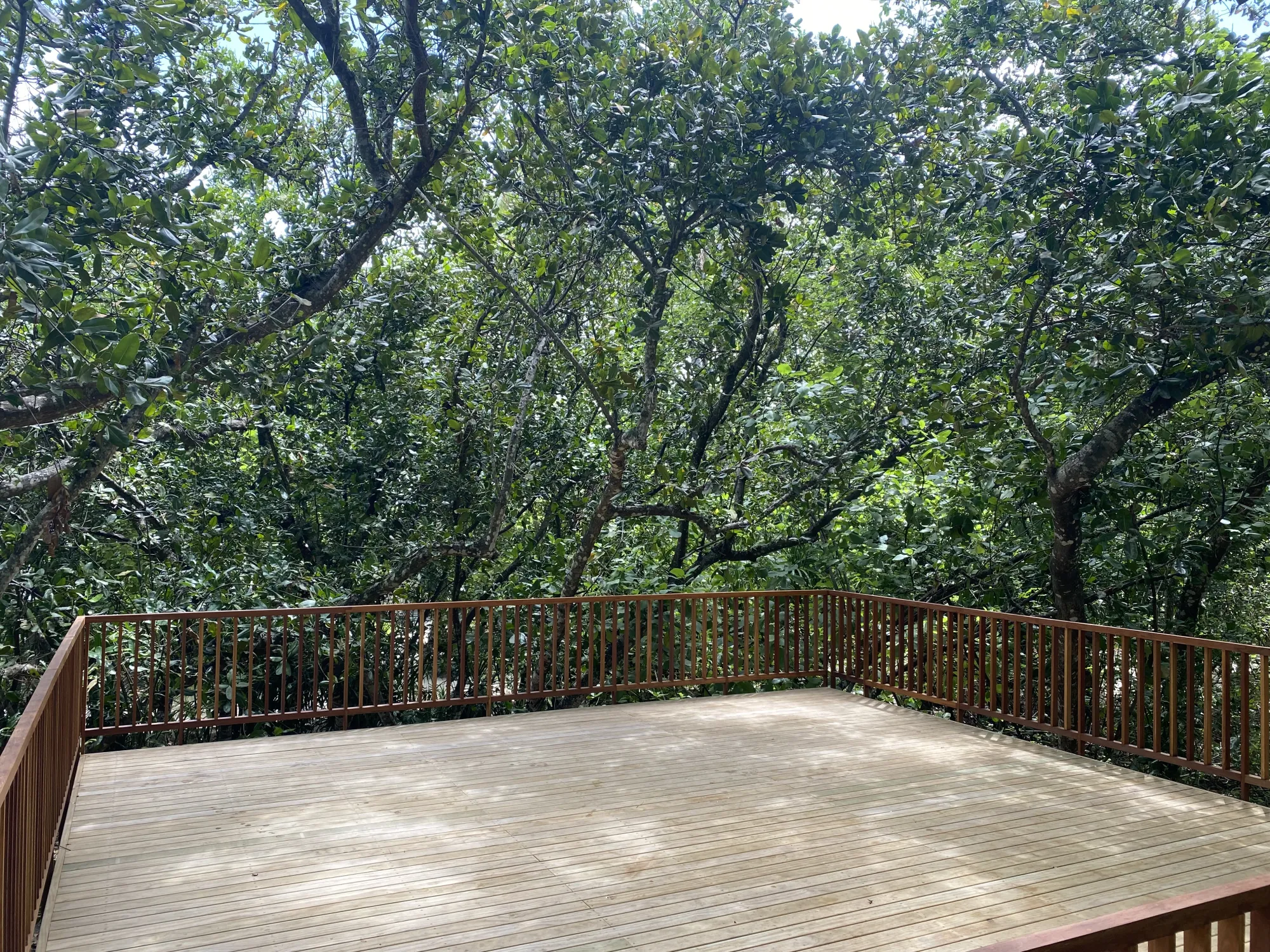 Treetop Spa Alila