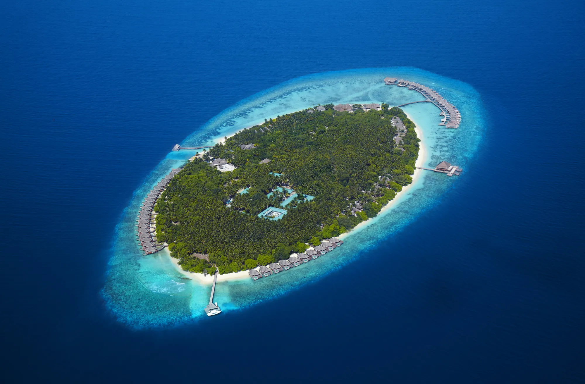 360° House Reef