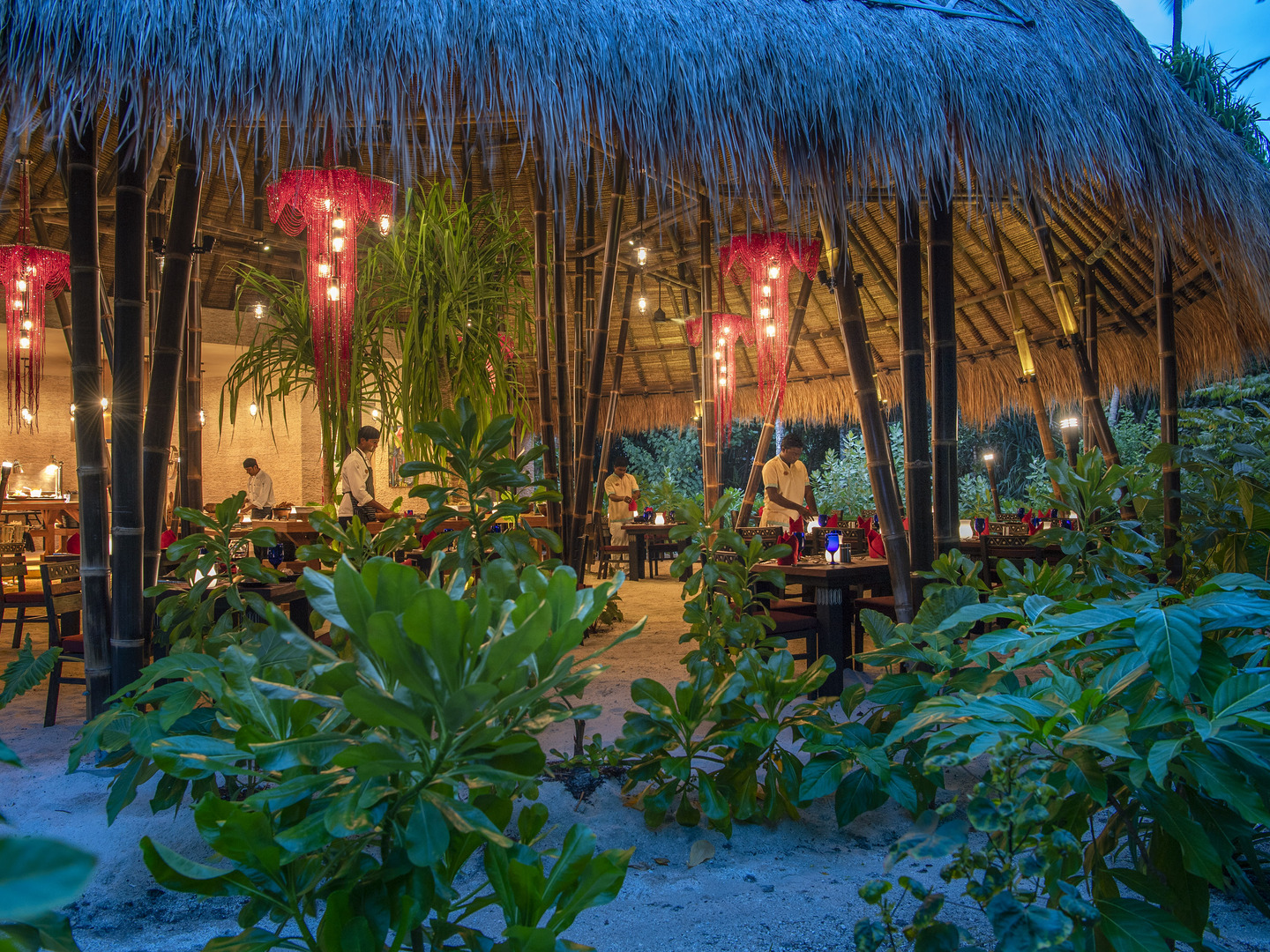 Emerald Maldives Resort & Spa - Photo 8
