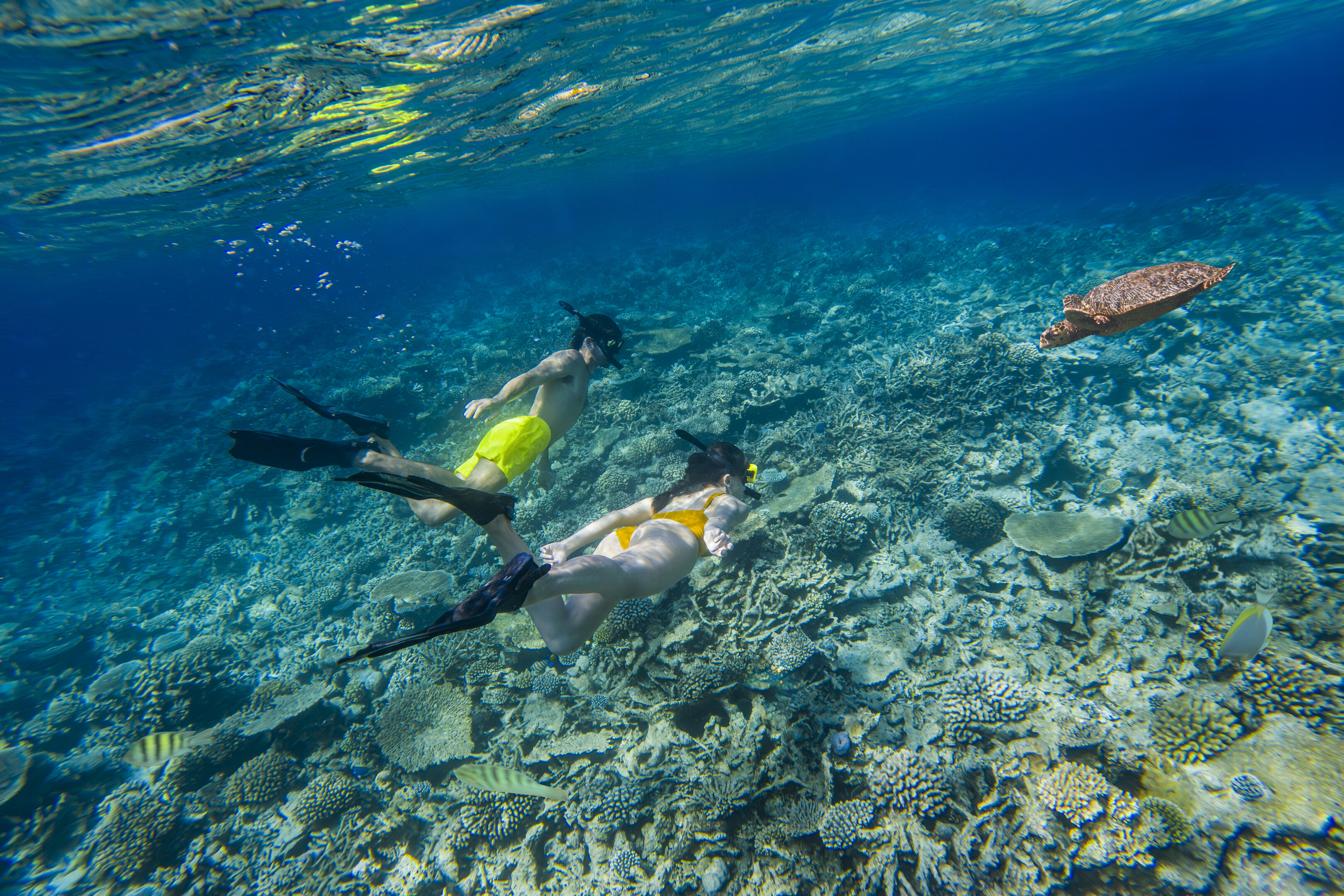 The Halcyon Private Isles Maldives - Photo 7