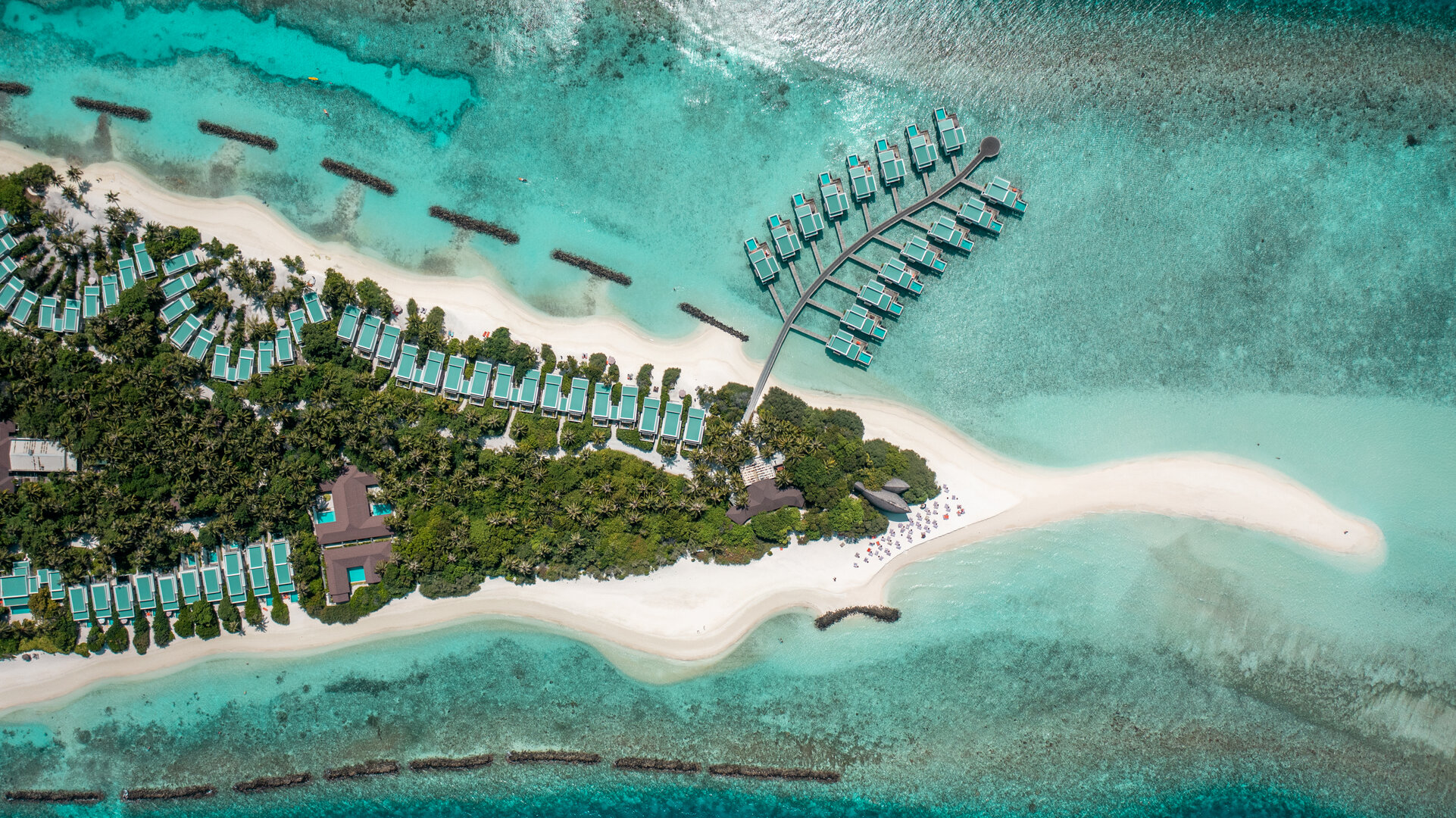 Dhigali Maldives - Photo 12