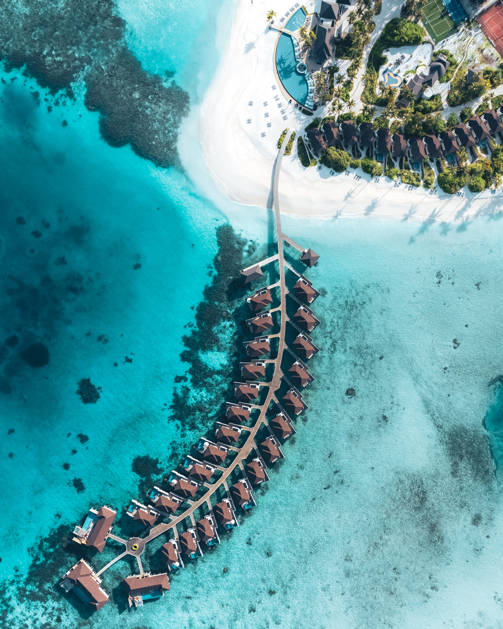 Avani+ Fares Maldives - Photo 12
