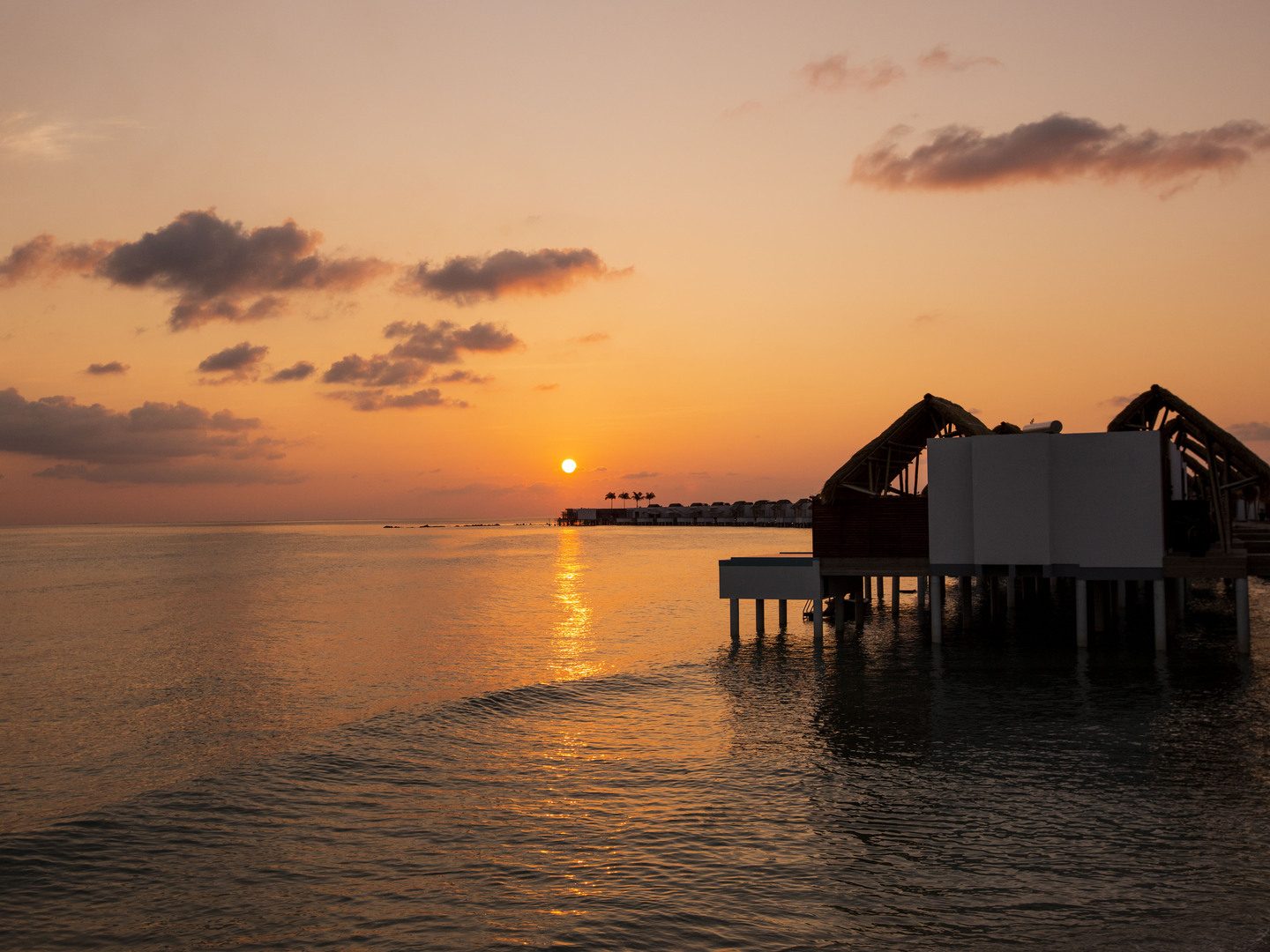 Emerald Maldives Resort & Spa - Photo 11