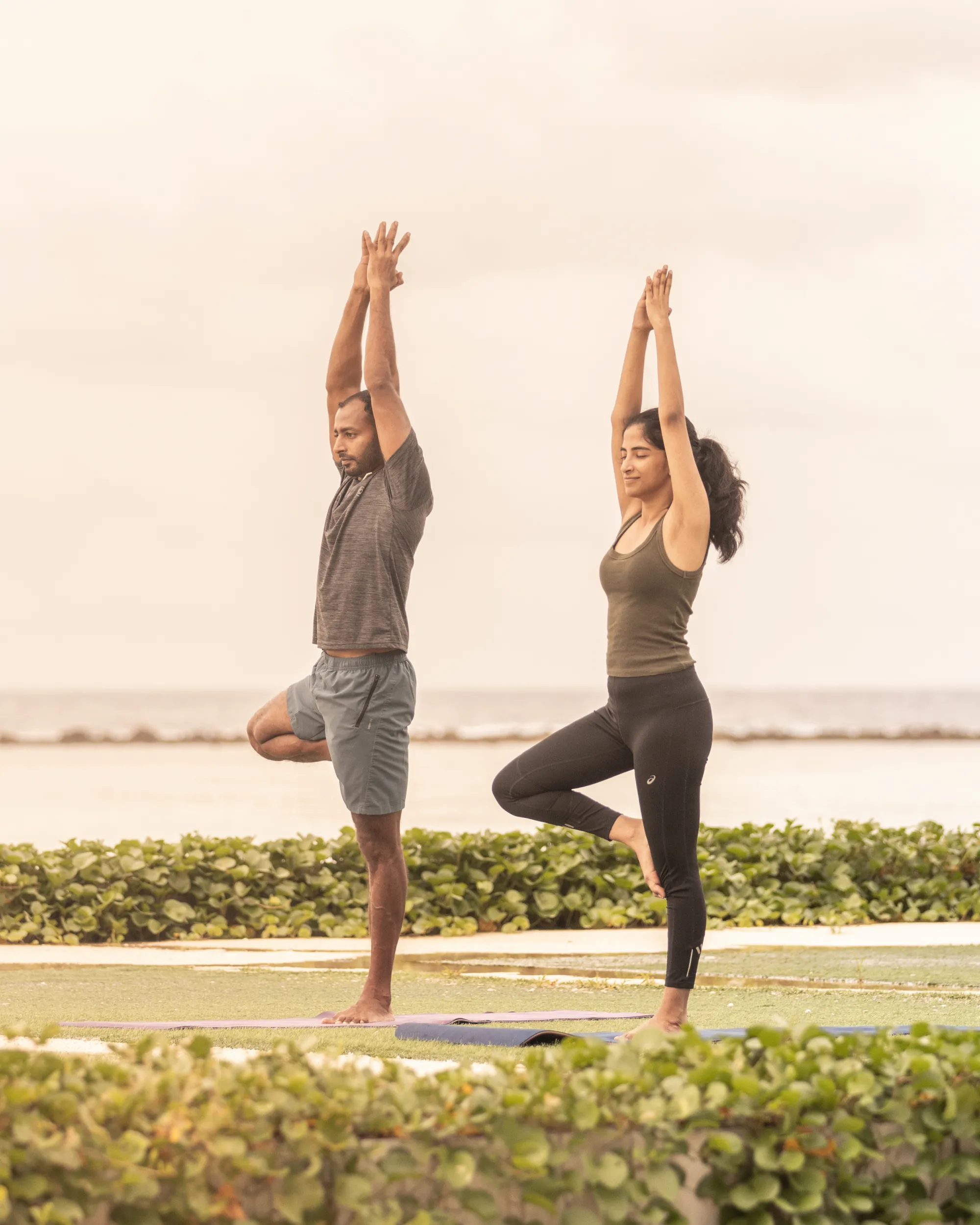 Yoga & Meditation