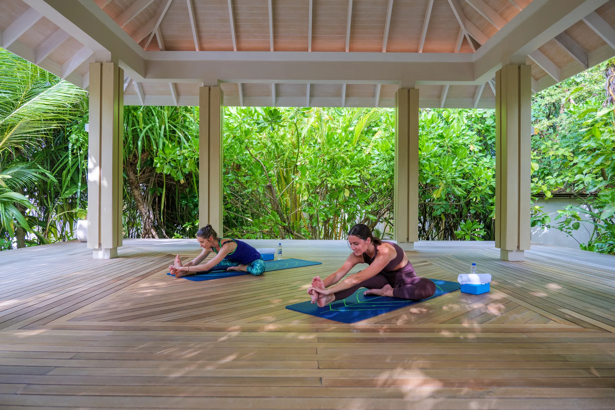 Yoga & Meditation