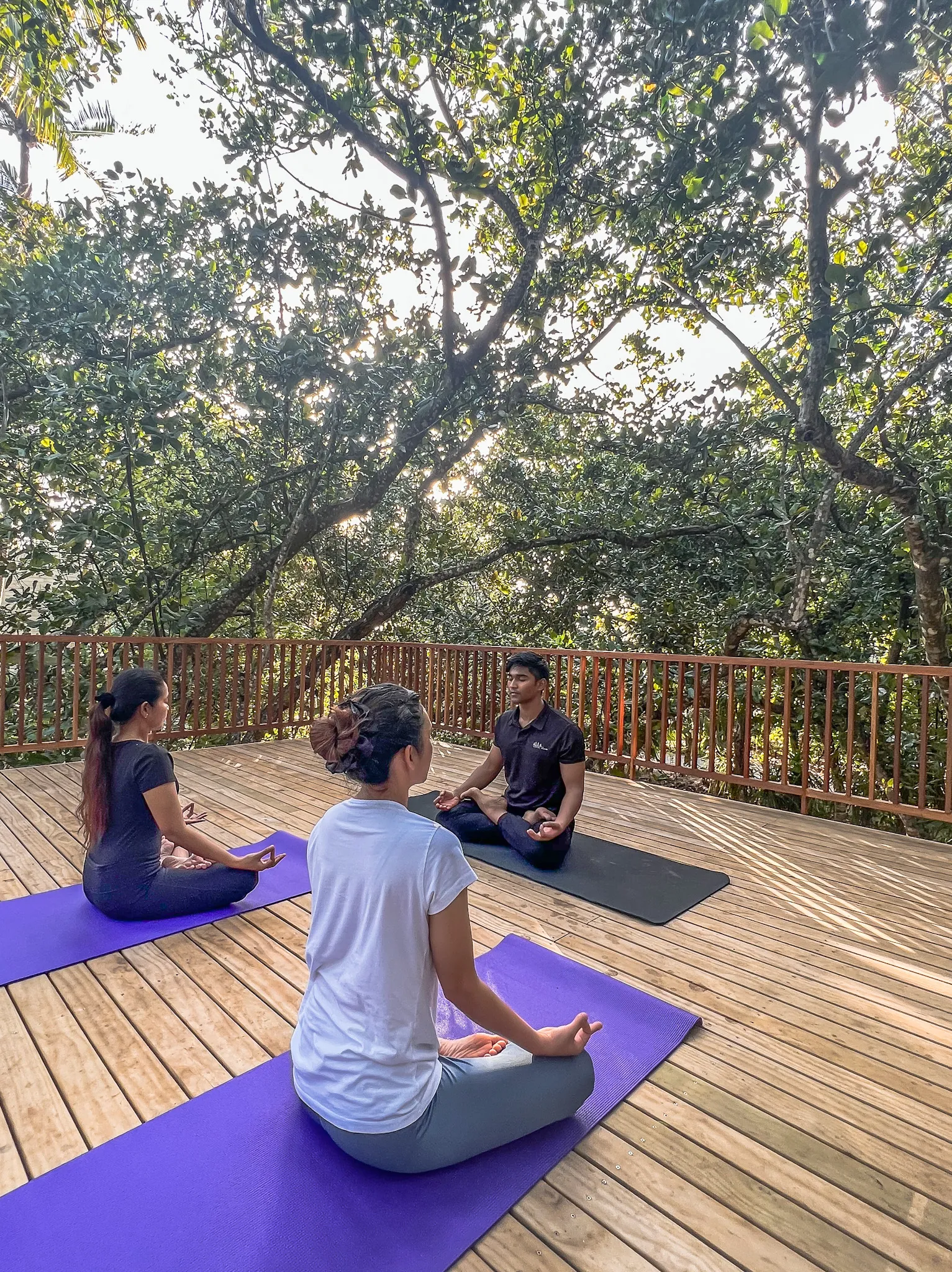 Yoga & Meditation