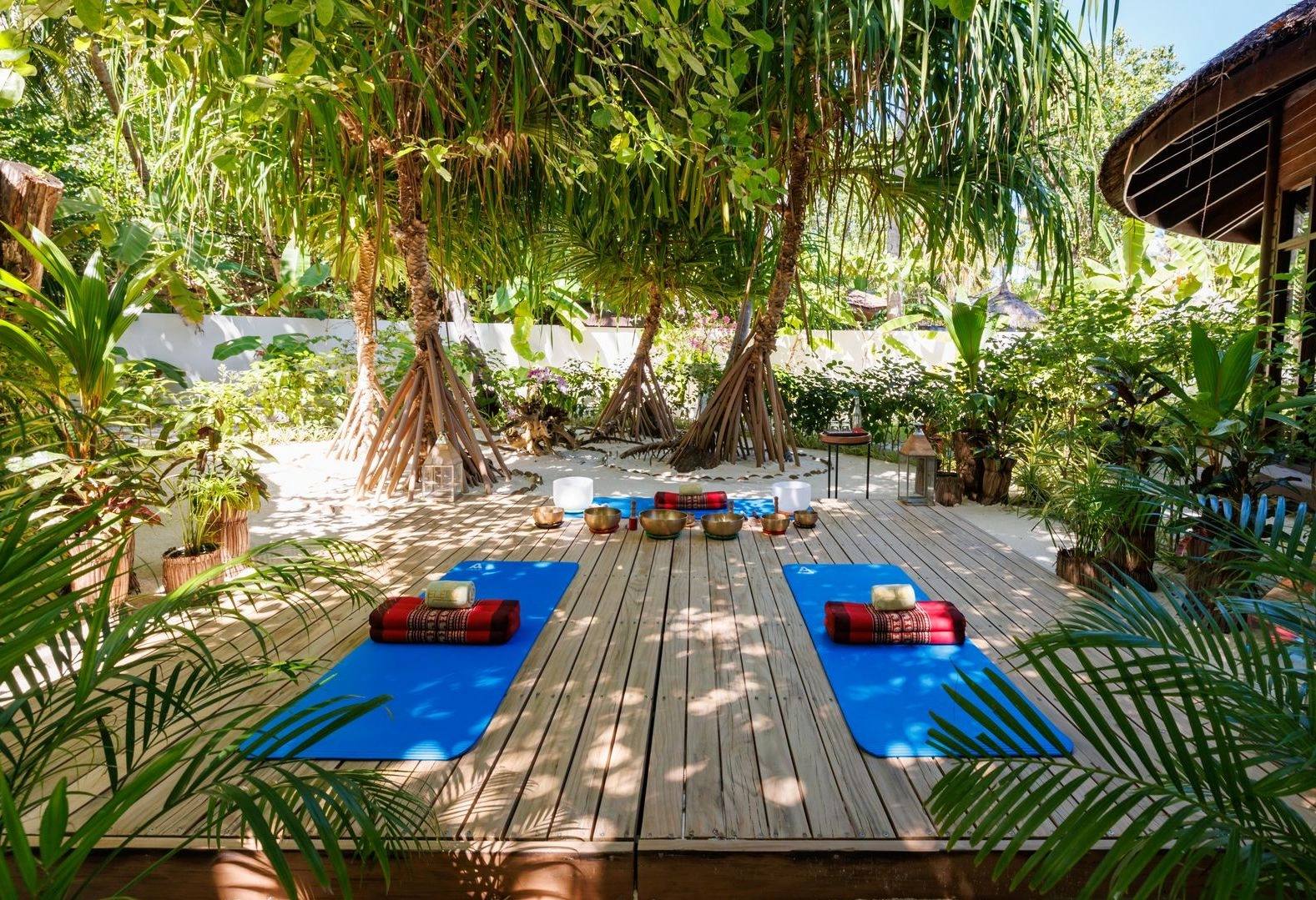 Wellness Activities