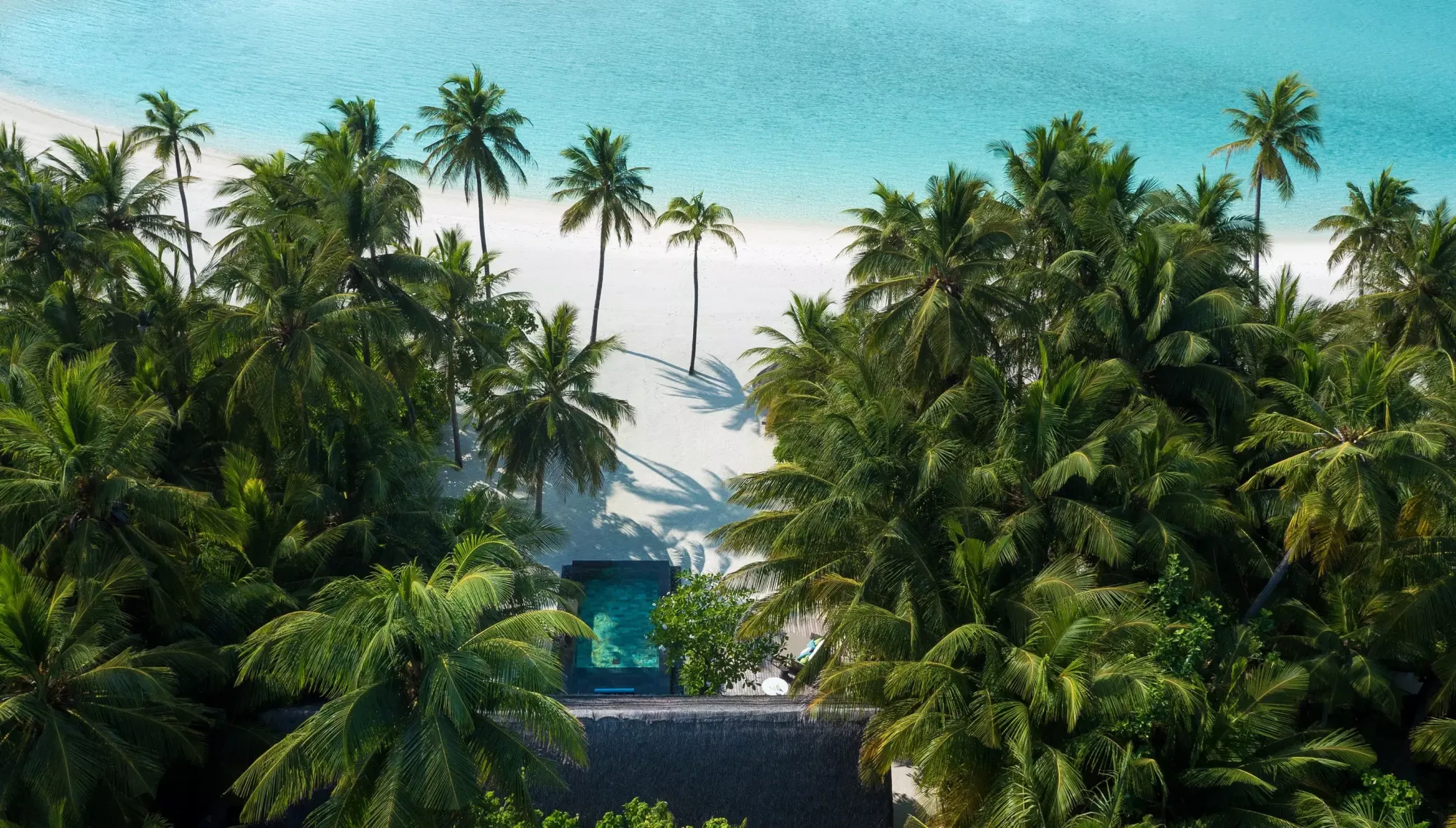 Beach Villa with Pool - Photo 1
